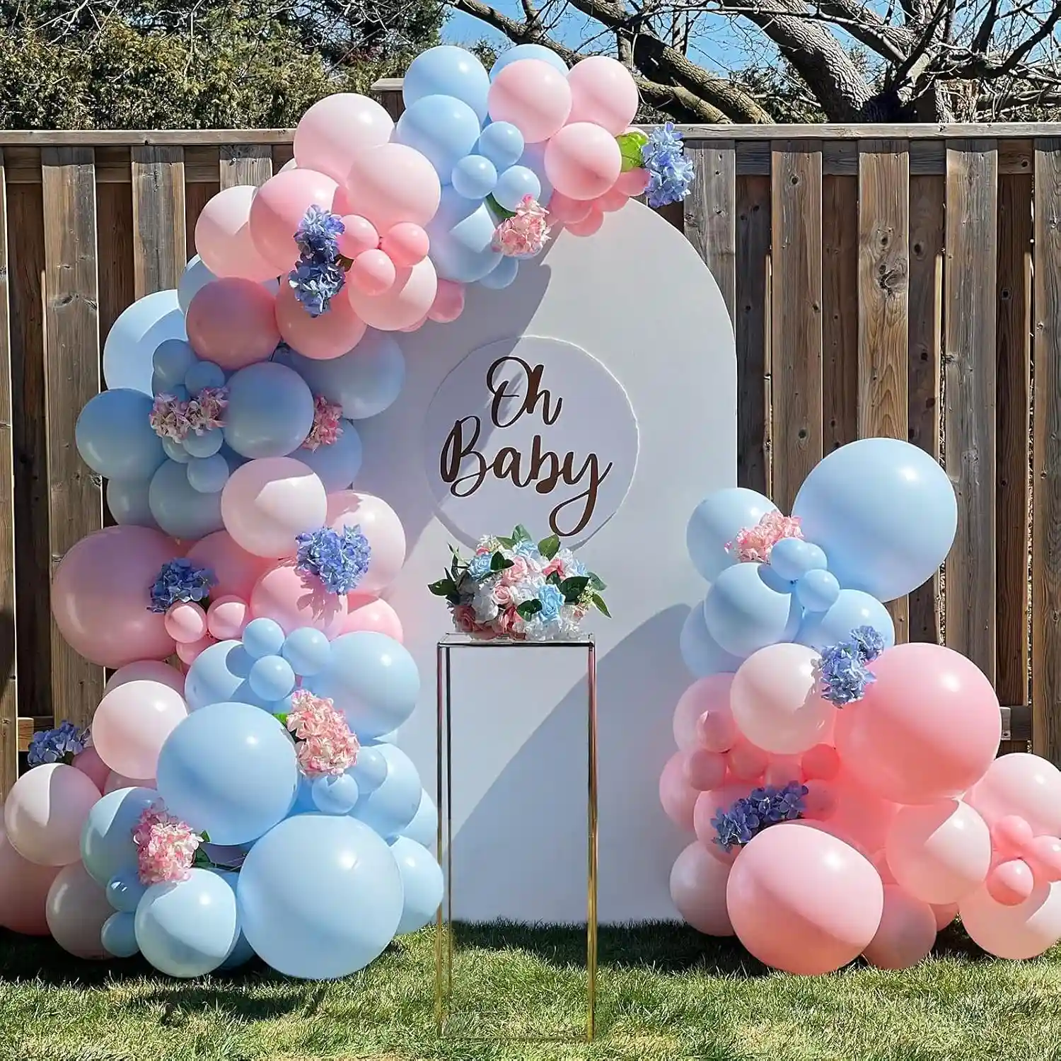 gender reveal balloon arch kit